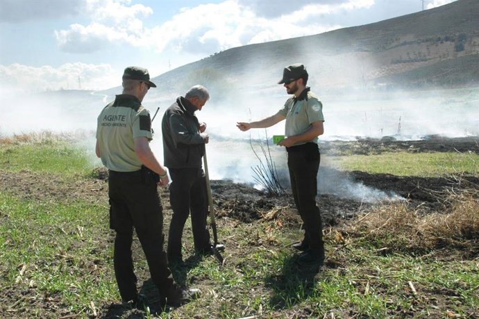 Una quema en un terreno forestal.