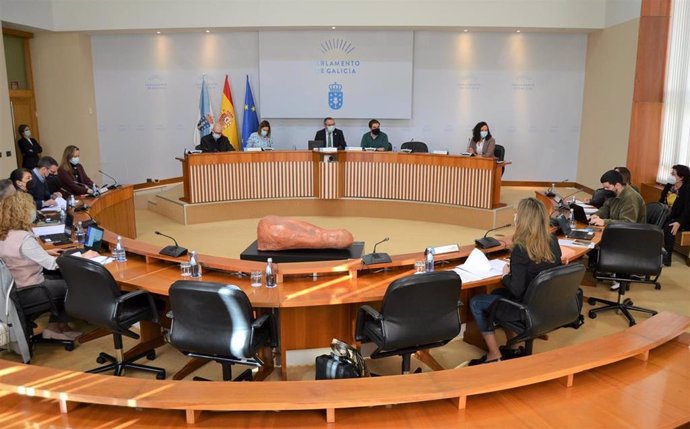 Archivo - Comisión 8, de Pesca e Marisqueo, del Parlamento de Galicia el 2 de marzo de 2021.
