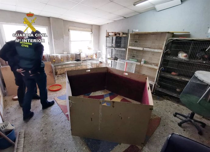 Guardia Civil desmantela en Cartagena un tentadero ilegal dedicado a peleas de gallos