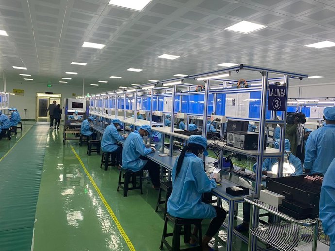 Planta Afrione En Bata