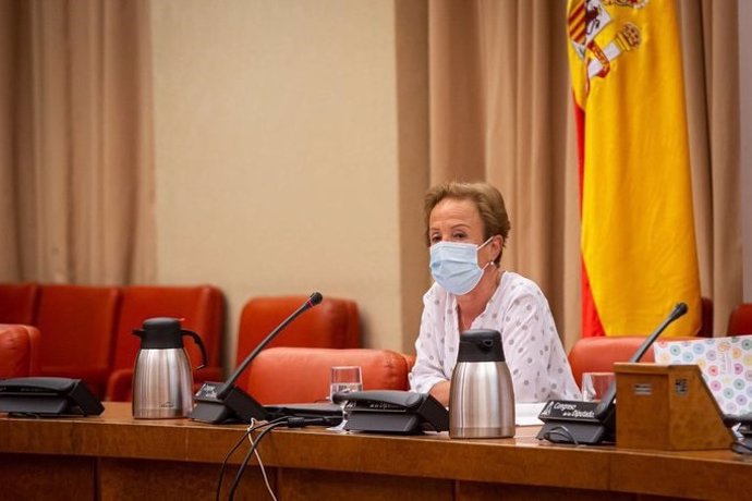 La Fiscal de Sala Delegada de Violencia contra la Mujer, Pilar Martín, en el Congreso