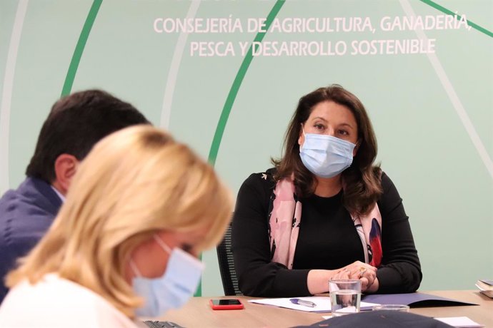 La consejera de Agricultura, Ganadería, Pesca y Desarrollo Sostenible, Carmen Crespo, en la reunión de la Mesa de Interlocuión Agraria en Andalucía.