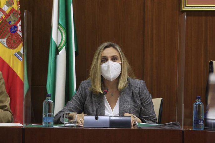 La consejera de Fomento, Marifrán Carazo, en comisión.