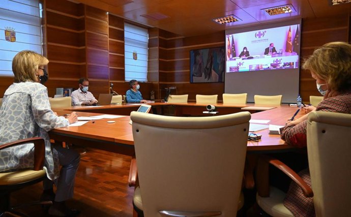 Casado, durante el Consejo Interterritorial del Sistema Nacional de Salud.