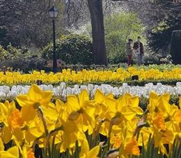 Real Jardín  Botánico