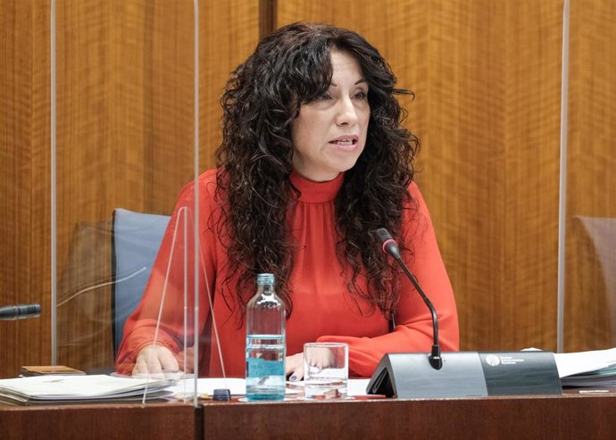 La consejera de Igualdad, Políticas Sociales y Conciliación, Rocío Ruiz, en comisión parlamentaria.