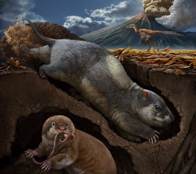 Este retrato muestra el tritilodonto Fossiomanus sinensis (arriba a la derecha) y el eutriconodontan Jueconodon cheni en madrigueras; ambos vivieron en la Biota Jehol del Cretácico Inferior (hace unos 120 millones de años), en el noreste de China