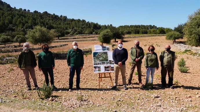 El Ibanat recupera en la finca de Planícia más de 28 hectáreas para uso agrícola.