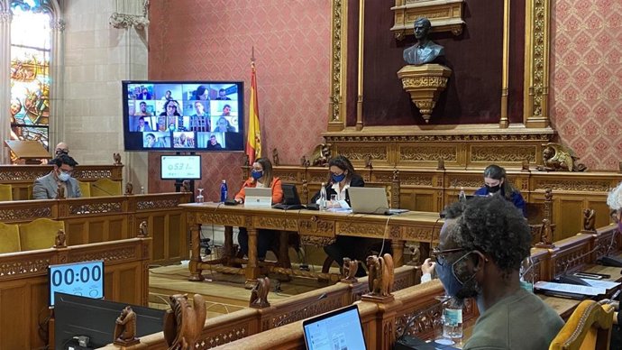 Pleno del Consell de Mallorca.