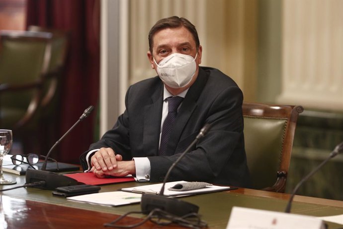 El ministro de Agricultura, Pesca y Alimentación, Luis Planas, en una foto de archivo.