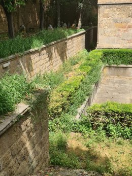 Torre de Don Fadrique