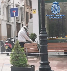 La Policía Nacional acordona un tramo de una plaza de Antequera por un enjambre de abejas