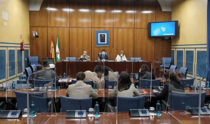 Sesión de la comisión de investigación de la Faffe (Foto de archivo).