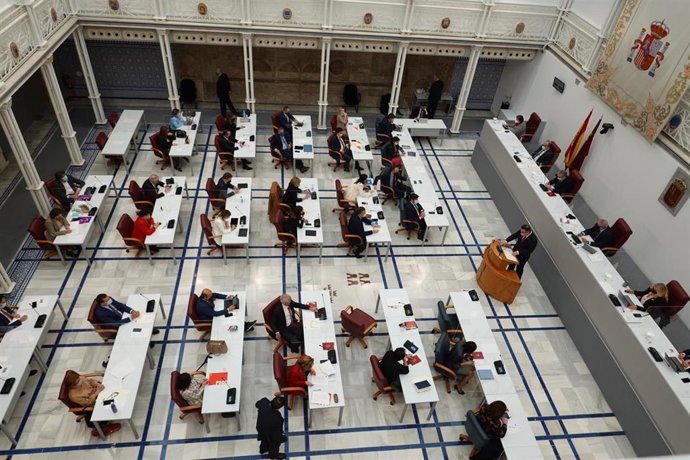 Diputados en la Asamblea regional de Murcia