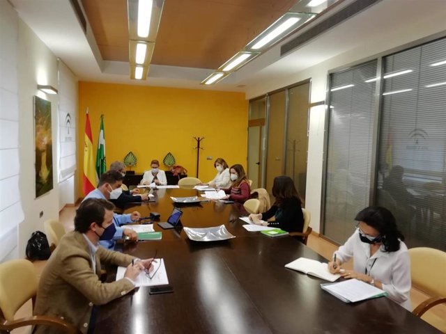 Reunión del Comité Territorial de Alerta de Salud Pública Alto Impacto de la provincia de Jaén