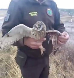 Un guarda rural de caza rescatando un ave