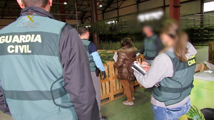 La Guardia Civil interviene más de cuatro toneladas de marihuana en Villel (Teruel) y detiene a tres personas