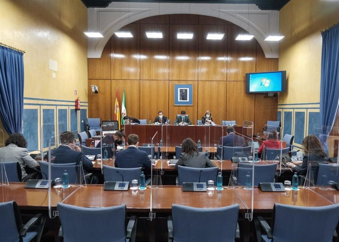 Imagen general de este viernes de la Comisión de la Faffe, durante la comparecencia de Antonio Torres.