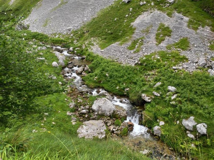 Archivo - Ruta de senderismo