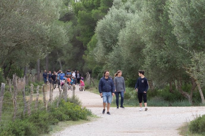 Archivo - Gente caminando por el campo en Mallorca.