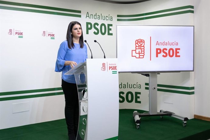 La parlamentaria socialista Noemí Cruz.