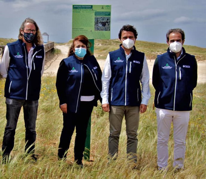 La Junta coordina la protección de la nidificación del Chorlitejo Patinegro con la Asociación de Voluntarios de Trafalgar