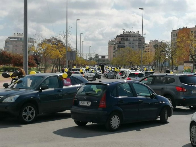 Manifestación en coche este domingo por Murcia