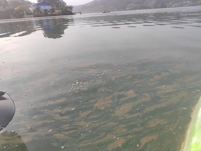 Archivo - Contaminación en la Ría de Villaviciosa