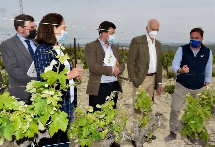 DIputados de Vox en una viña en Jerez