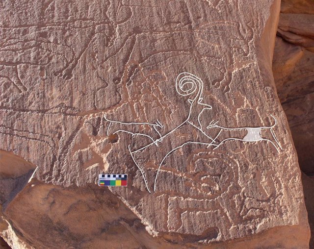 Un panel de arte rupestre de AlUla muestra a dos perros cazando un íbice, rodeados de ganado.