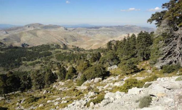 Sierra de las Nieves