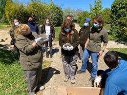 Liberación de erizos en el Arbortum de Lleida