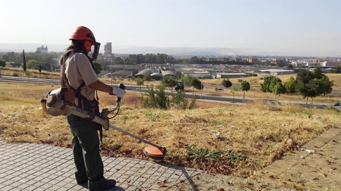 Archivo - Una operaria de Sadeco trabaja en el desbroce de maleza junto a un acerado.