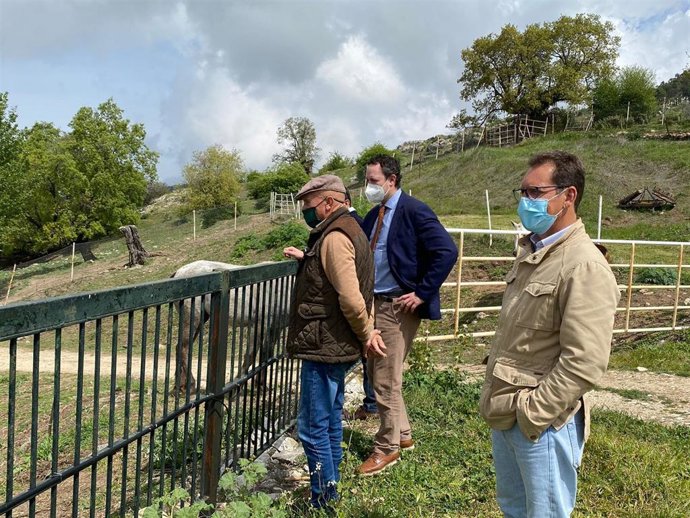 El delegado de Agricultura, Ganadería y Pesca de la Junta de Andalucía en Córdoba, Juan Ramón Pérez (al fondo), visita una explotación equinad.