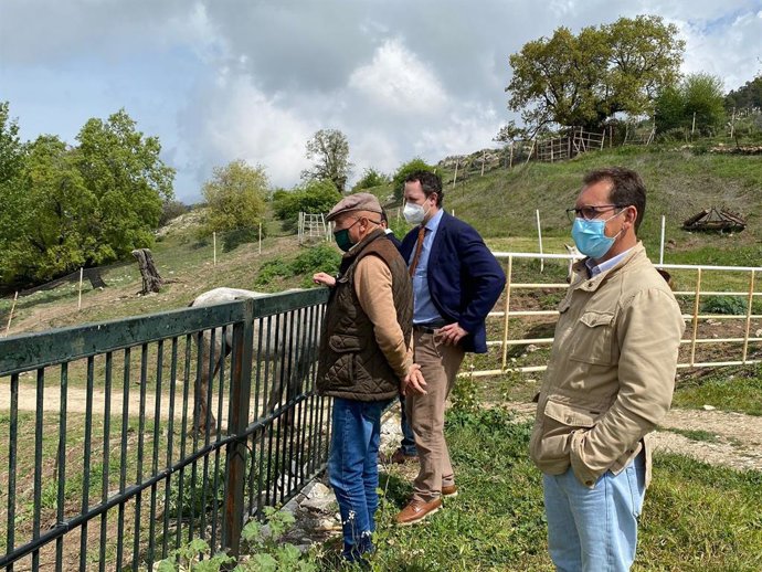 El delegado de Agricultura, Ganadería y Pesca de la Junta de Andalucía en Córdoba, Juan Ramón Pérez (al fondo), visita una explotación equinad.