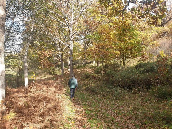 Sendero en Cantabria