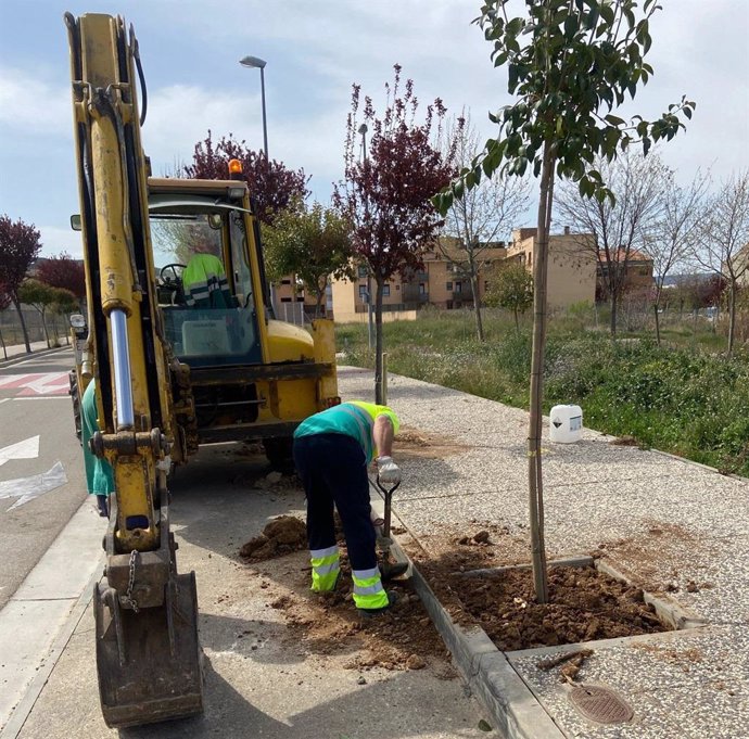 El Ayuntamiento de Cadrete realiza una plantación de 60 árboles en distintas zonas del municipio.