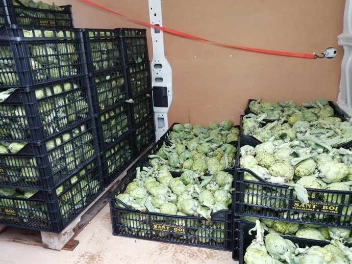 L'Hospitalet (Barcelona) reparte alcachofas a residencias por su esfuerzo ante la Covid.