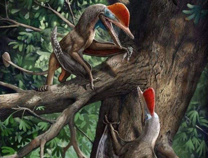 Reconstrucción vital de K. Antipollicatus.