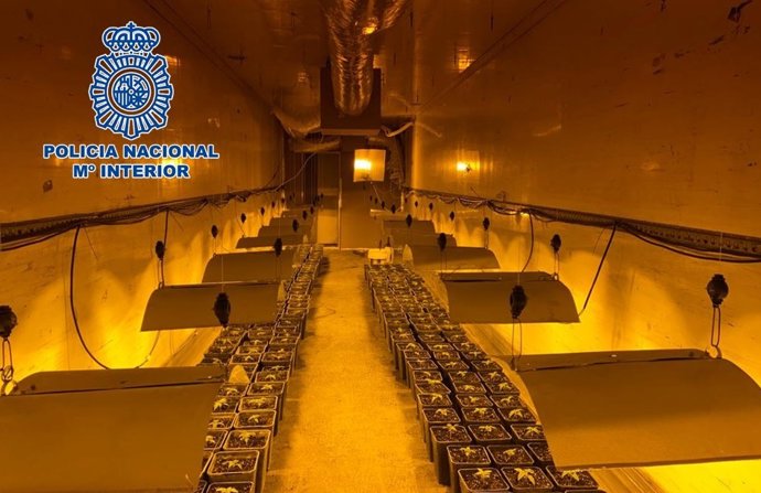 Plantación en un tráiler