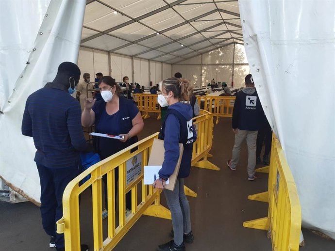 Campamento de las Raíces