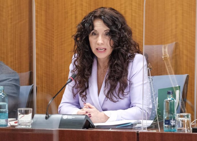 La consejera de Igualdad, Políticas Sociales y Conciliación, Rocío Ruiz, en Comisión de Discapacidad del Parlamento andaluz.