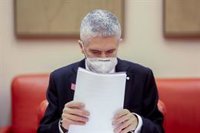 El PP, Vox y UPN cargan contra Marlaska en el Congreso y el PSOE le defiende por poner fin a la "policía política"