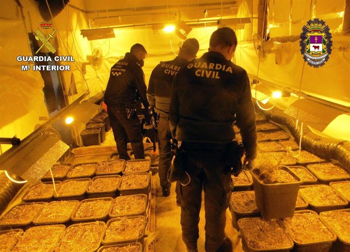 Vídeo de la noticia