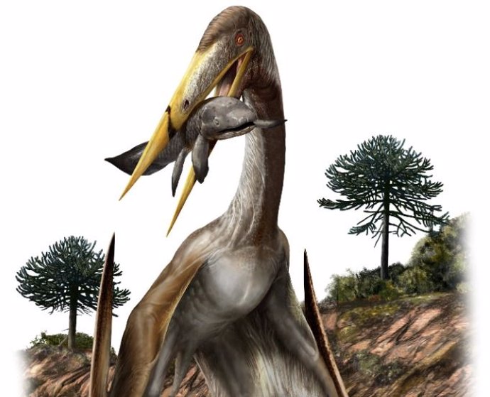 Esta ilustración muestra la interpretación de un artista de un pterosaurio (Alanqa saharica).