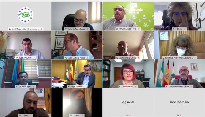 Reunión telemática para la constitución de la Subcomisión de Mancomunidades.