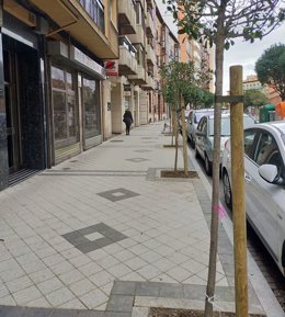 Alcorques en la calle Panaderos de Valladolid.
