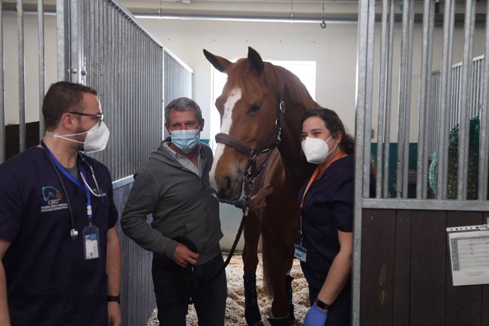 Alta de l'últim cavall ingressat per rinopneumonitis equina