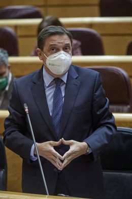 Archivo - El ministro de Agricultura, Pesca y Alimentación, Luis Planas 