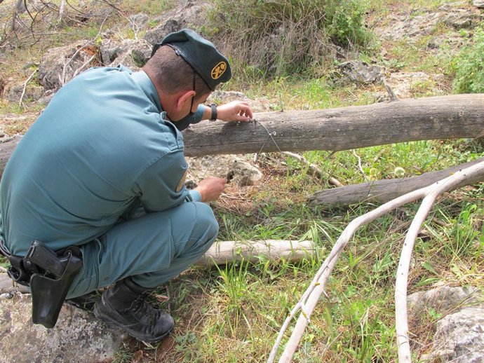 Un agente de la Guardia Civil junto a un lazo de cable de acero